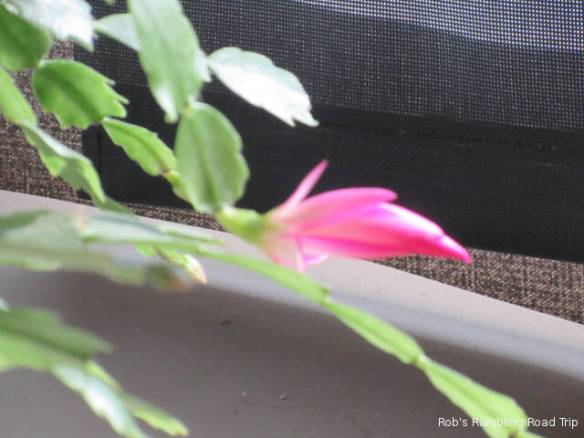 r3t2017-12-19_18-502