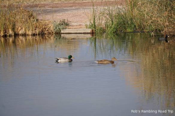 r3t2017-12-24_19-053