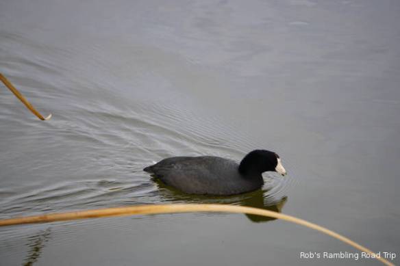 r3t2017-12-24_19-054