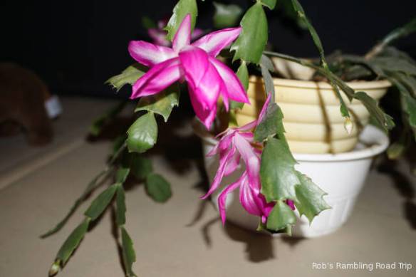 r3t2017-12-27_17-281