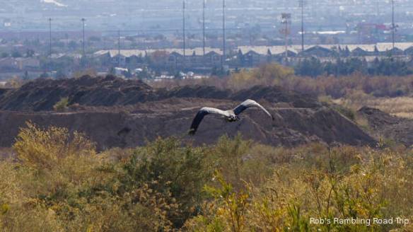 r3t2017-12-29_14-593