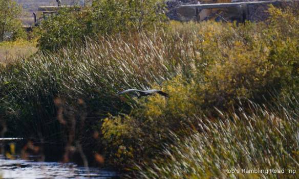 r3t2017-12-29_14-594