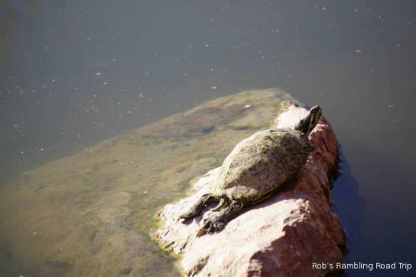 r3t2017-12-29_14-596