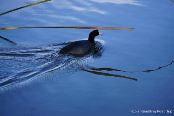 r3t2017-12-29_14-598