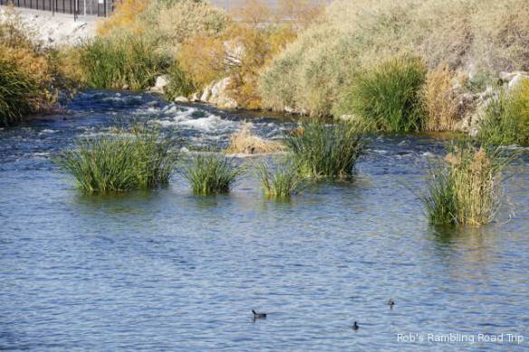 r3t2017-12-30_16-571