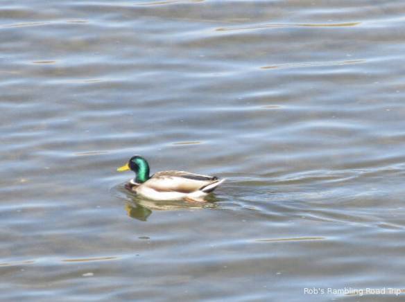 r3t2018-01-15_17-002