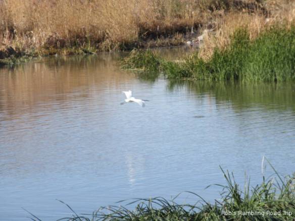 r3t2018-01-15_17-004