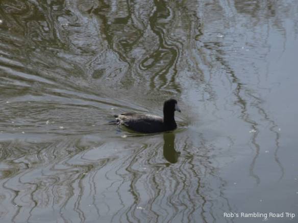 r3t2018-01-15_17-005