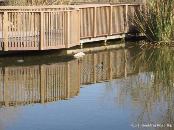 r3t2018-01-15_17-006