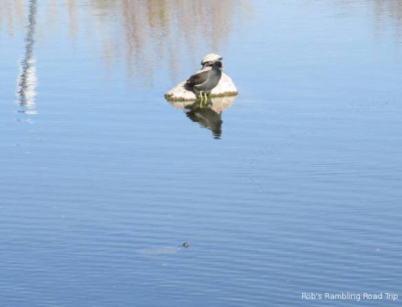 r3t2018-01-15_17-007