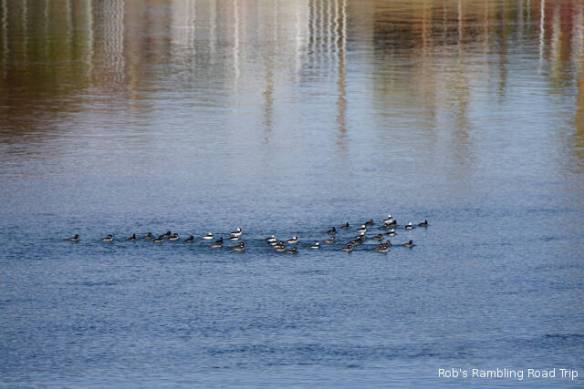 r3t2018-01-18_18-295