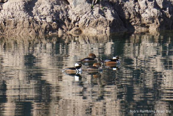 r3t2018-01-18_18-298