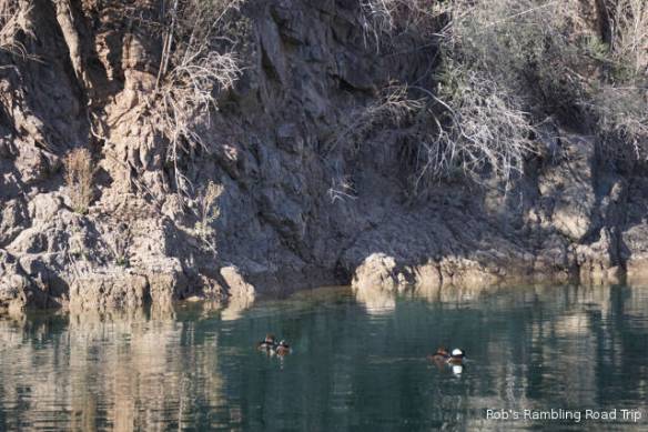 r3t2018-01-18_18-299