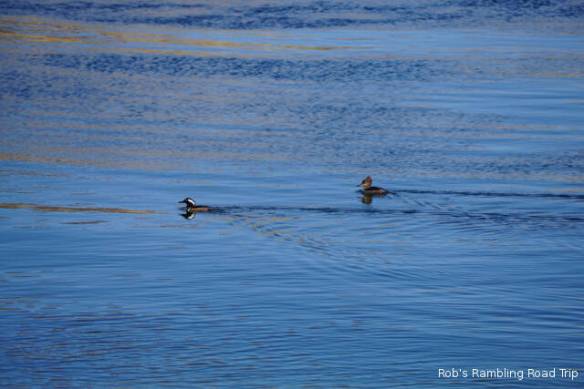 r3t2018-01-19_18-093