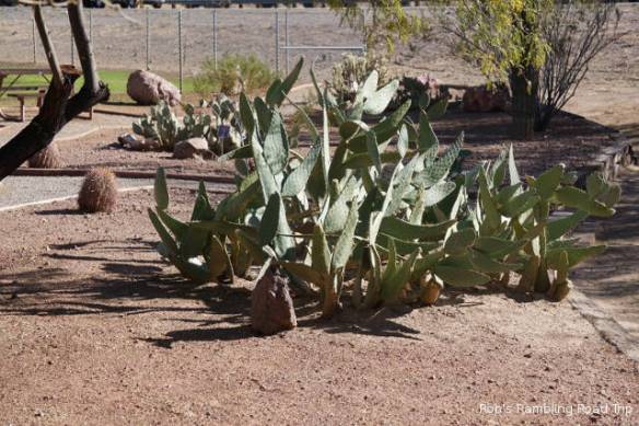 r3t2018-01-19_18-094