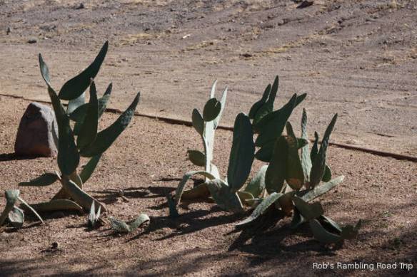 r3t2018-01-19_18-095