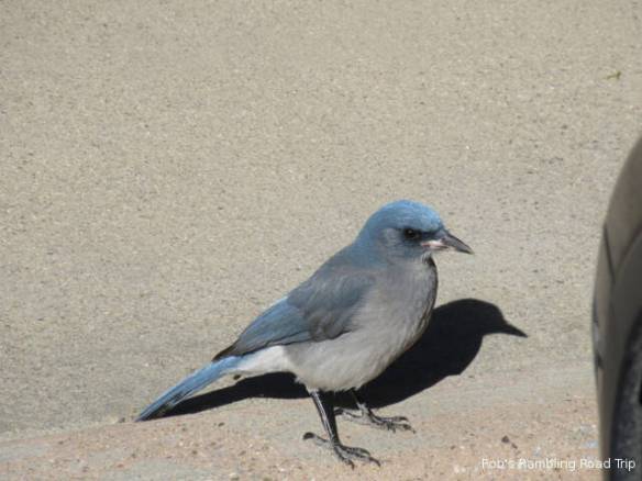 r3t2018-01-24_17-515