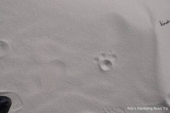 r3t2018-01-30_20-546