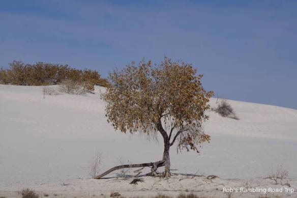 r3t2018-01-30_20-547