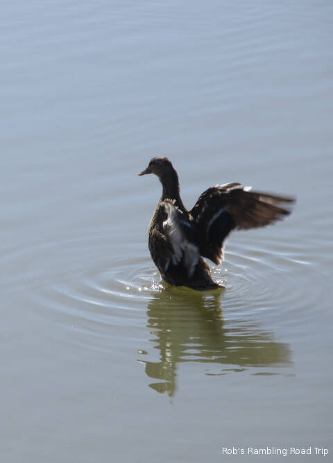 r3t2018-02-04_18-171