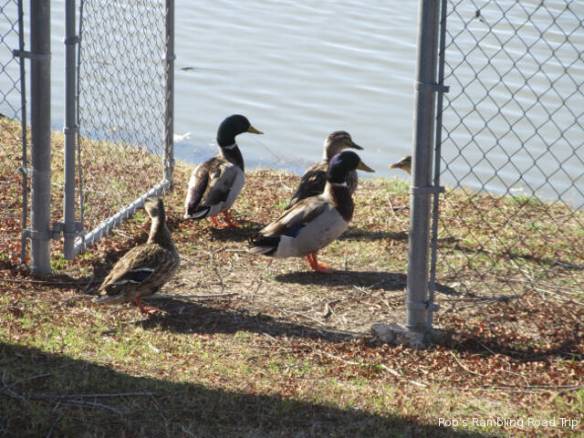 r3t2018-02-04_18-201