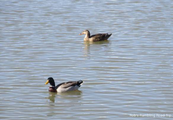 r3t2018-02-04_18-202