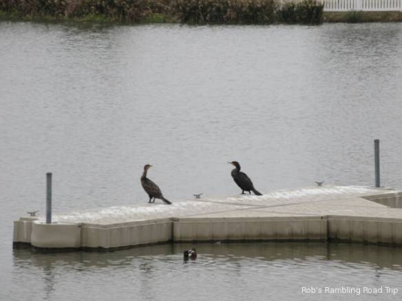 r3t2018-02-05_19-081