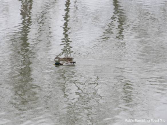 r3t2018-02-05_19-082