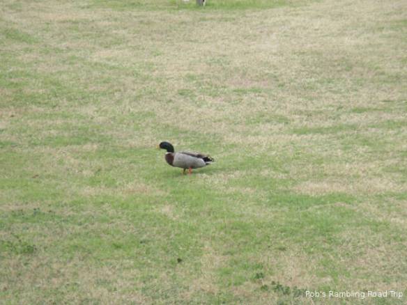 r3t2018-02-05_19-083