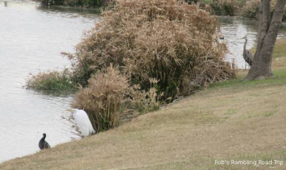 r3t2018-02-05_19-084