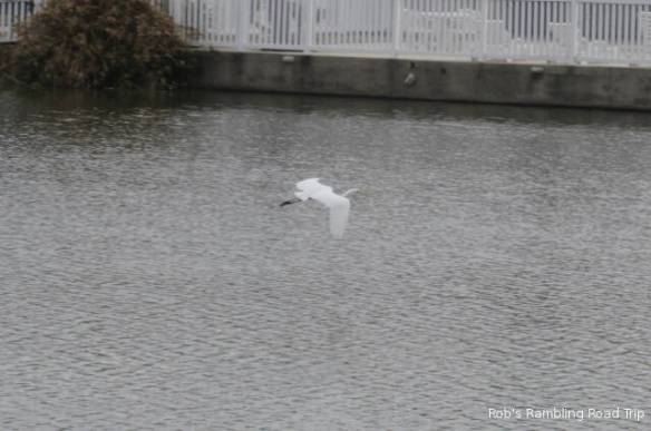 r3t2018-02-05_19-085