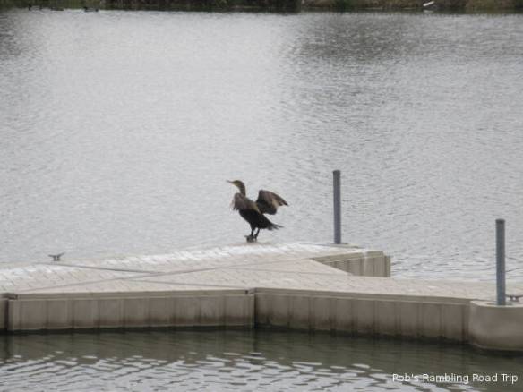 r3t2018-02-06_20-541