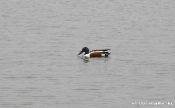 r3t2018-02-07_18-381