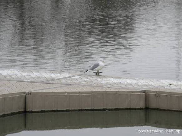 r3t2018-02-09_17-501