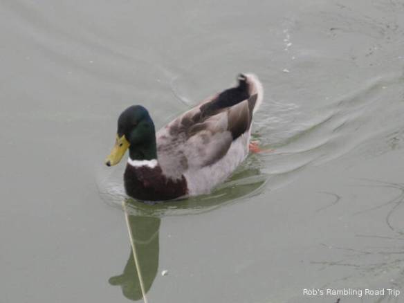 r3t2018-02-09_17-502