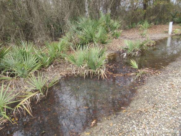 r3t2018-02-13_19-371