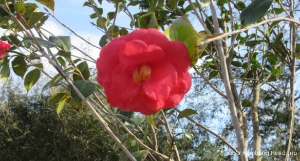 r3t2018-02-18_18-351