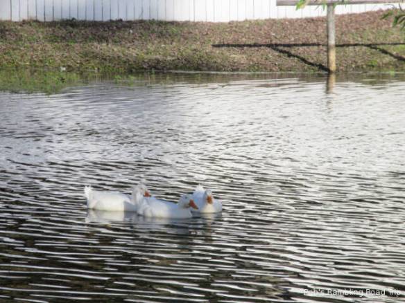 r3t2018-02-24_21-022