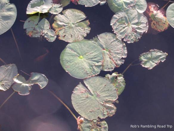 r3t2018-02-26_21-183