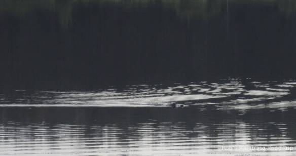 r3t2018-02-28_20-111