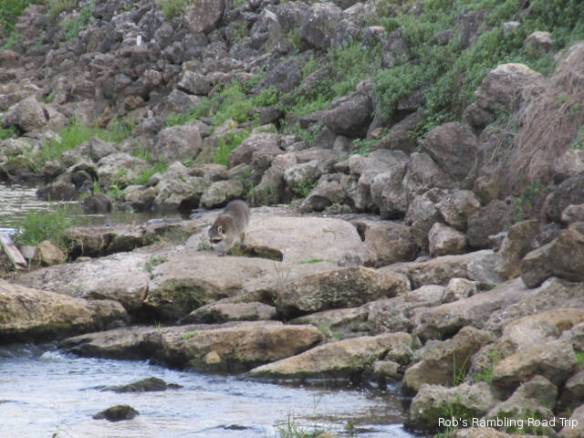 r3t2018-02-28_20-115