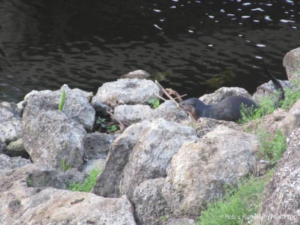 r3t2018-02-28_20-116