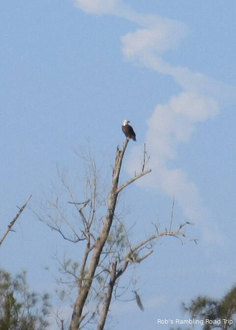 r3t2018-03-01_20-301