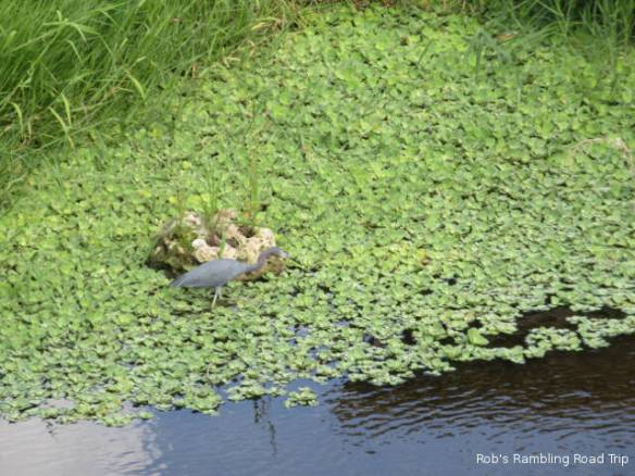 r3t2018-03-01_20-327