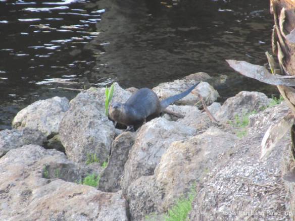 r3t2018-03-01_20-329