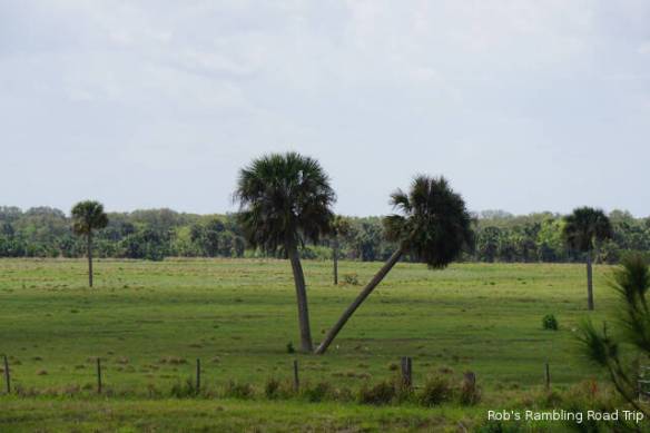 r3t2018-03-02_18-562