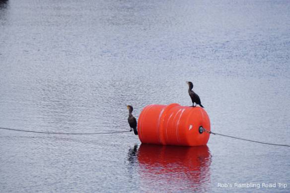 r3t2018-03-02_18-563