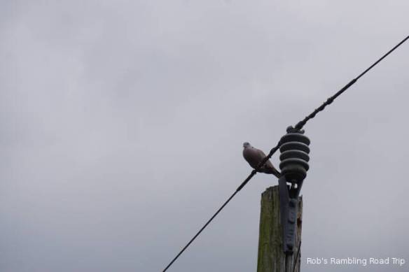 r3t2018-03-02_18-564