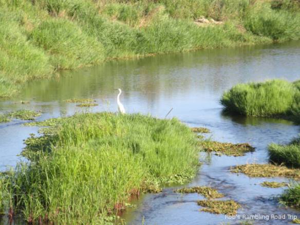 r3t2018-03-03_22-495