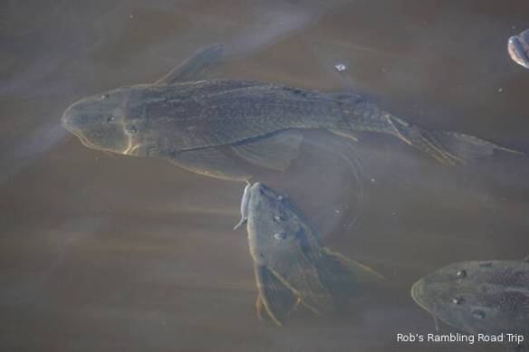 r3t2018-03-07_19-415